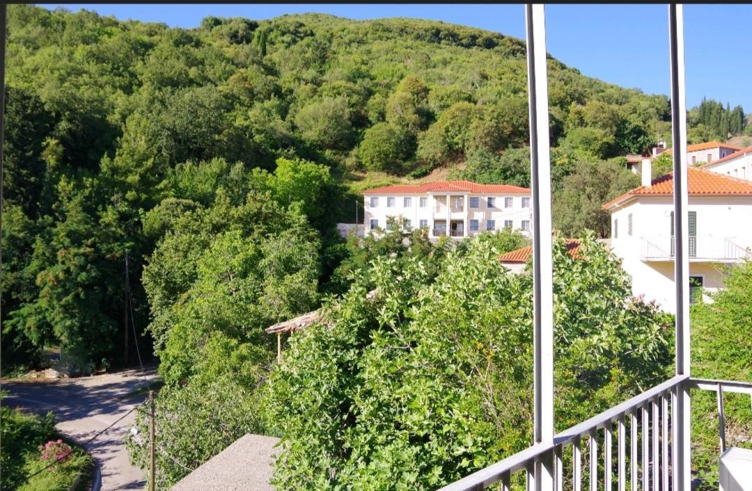 Theoxenia Hotel Андрицаина Екстериор снимка