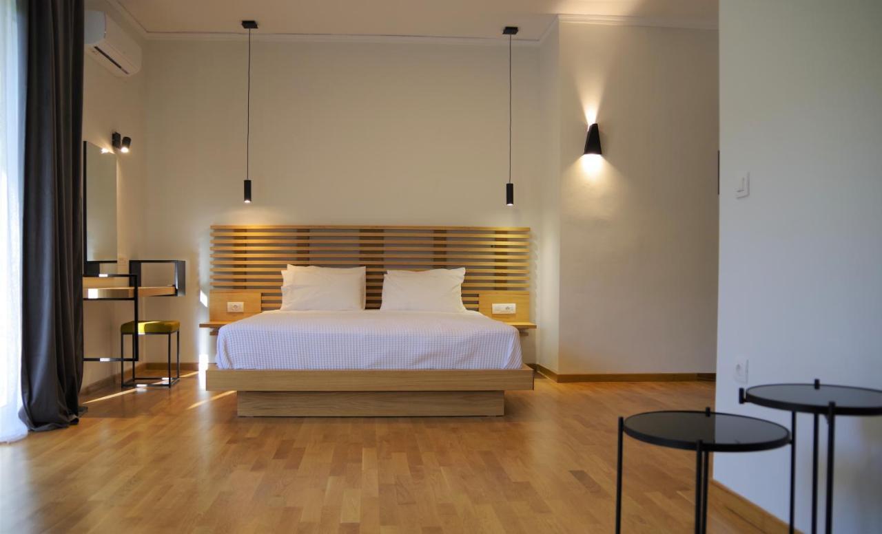 Theoxenia Hotel Андрицаина Екстериор снимка
